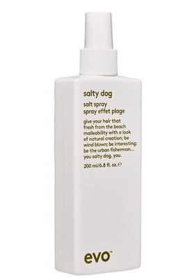 EVO salty dog salt spray - Текстурирующий спрей для волос 200мл - фото 7575